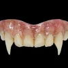 Hammer Horror - Vampire Bride Teeth